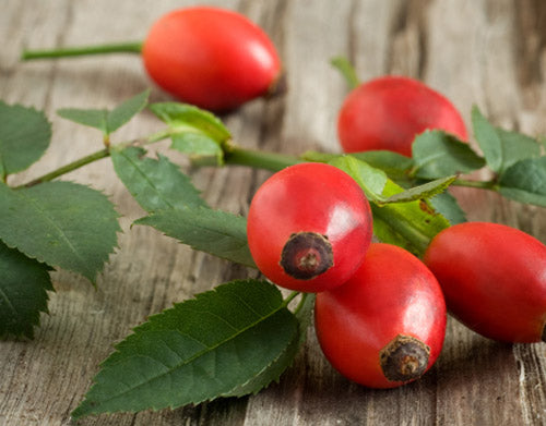 Why essential oils like Rosehip Oil are now skin care royalty.