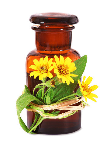 Benefits of Arnica: 7 Facts